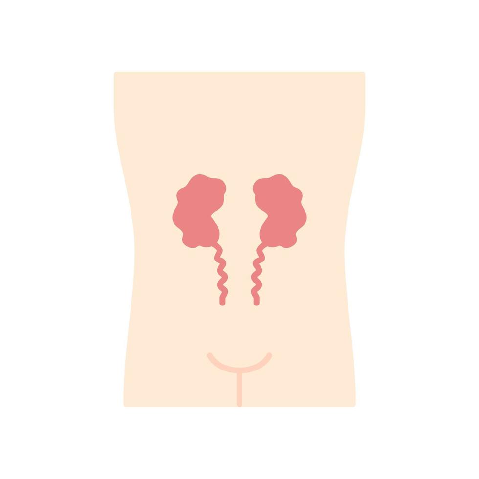 riñones enfermos diseño plano icono de color de sombra larga. Órgano humano mineral. sistema urinario insalubre. nefropatía parte interna del cuerpo enferma. insuficiencia renal. ilustración de silueta de vector