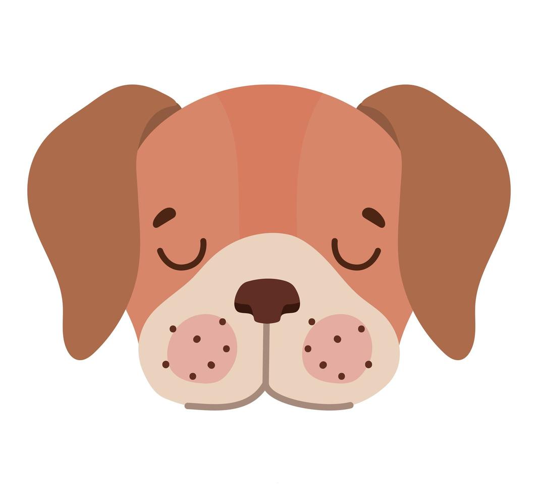 dog face design vector