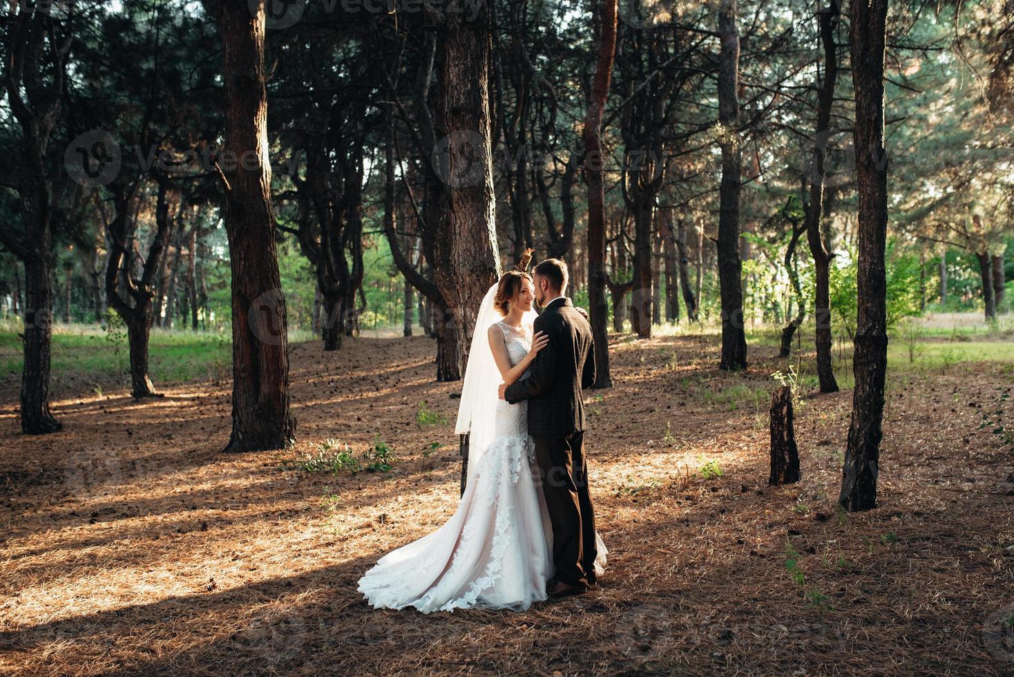 walk of the bride and groom through the autumn forest photo
