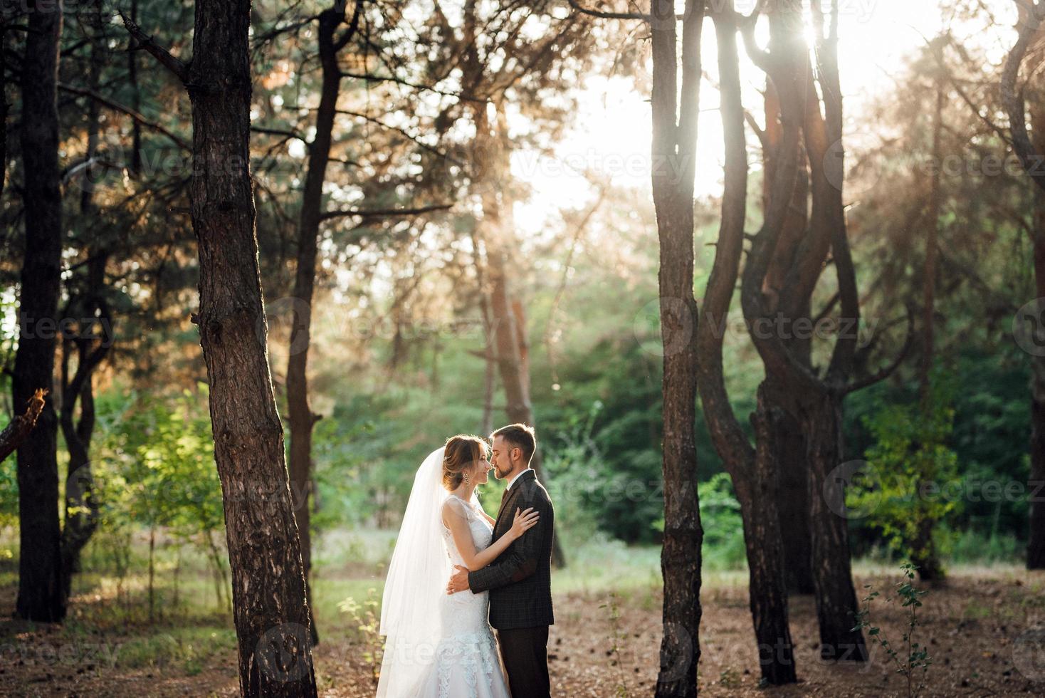 walk of the bride and groom through the autumn forest photo