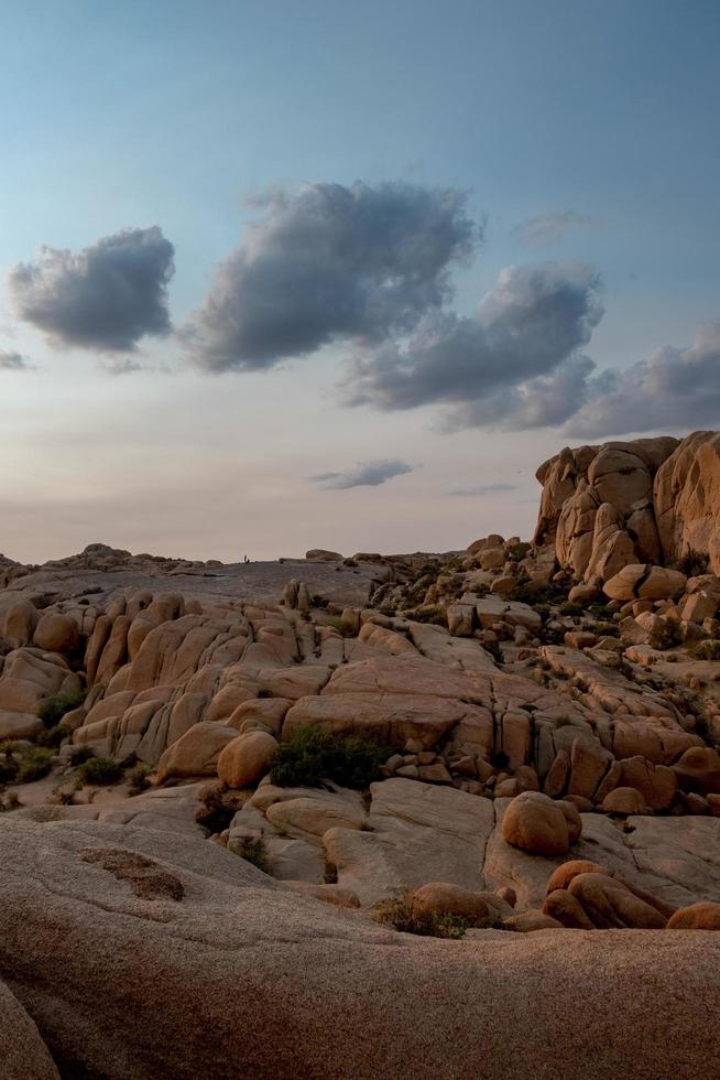 parque nacional joshua tree foto