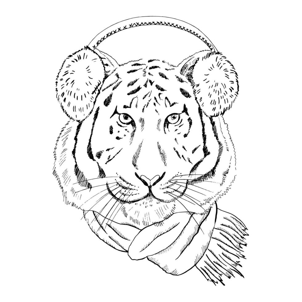 Hand - drawn portrait of a New Year tiger in a scarf and fur headphones. Vector illustration. Vintage line sketch. Christmas illustration.