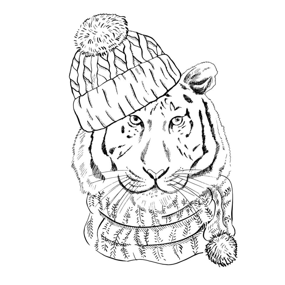 Retrato dibujado a mano de un tigre de año nuevo con una bufanda y un gorro de punto. ilustración vectorial. boceto de línea vintage. ilustración de navidad. vector