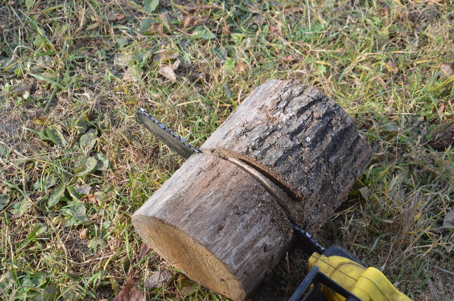 producción de madera aserrada para estructuras de madera foto