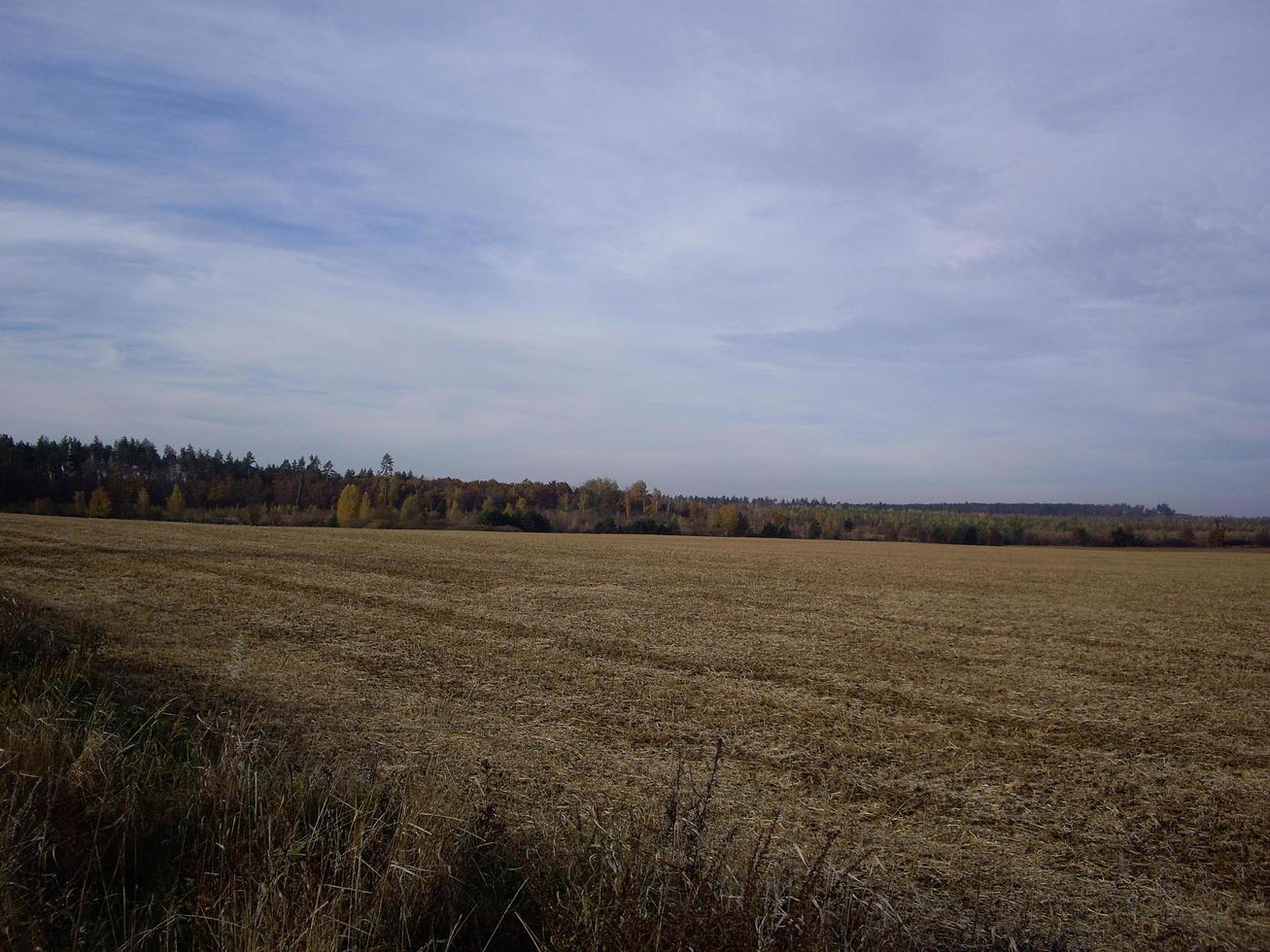 panorama de un campo de finales de otoño foto