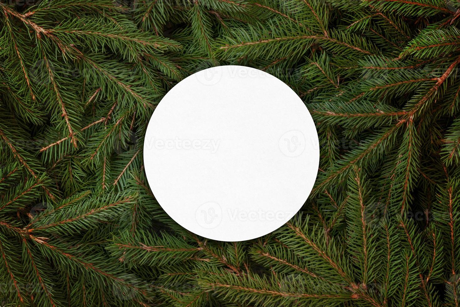 Blank white circle-shaped paper on christmas tree branches photo
