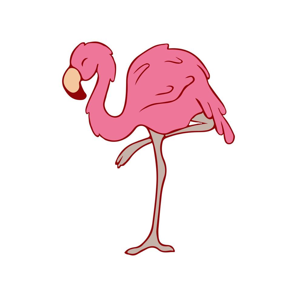 flamencos. garabatear. ave tropical de color rosa. flamenco en una pierna. ilustración de stock vector
