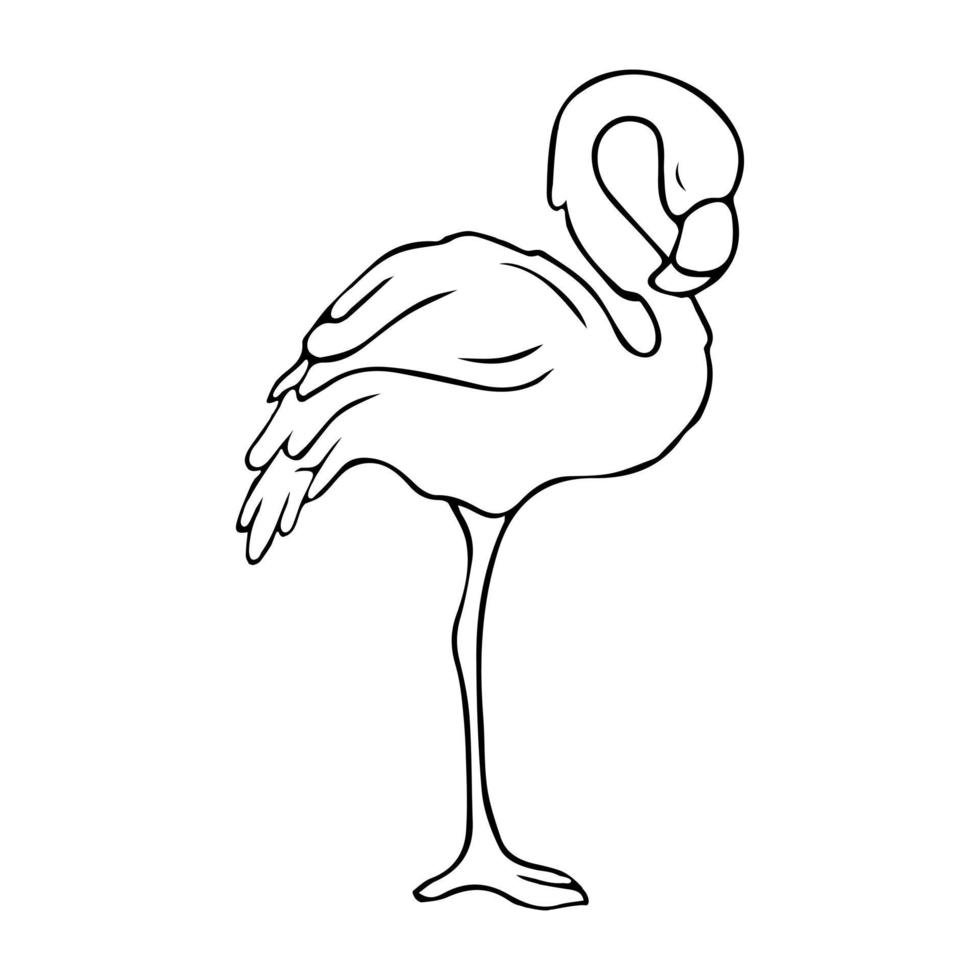 Flamingos. Doodle. Contour bird. Sleepy Flamingo. Stock illustration vector