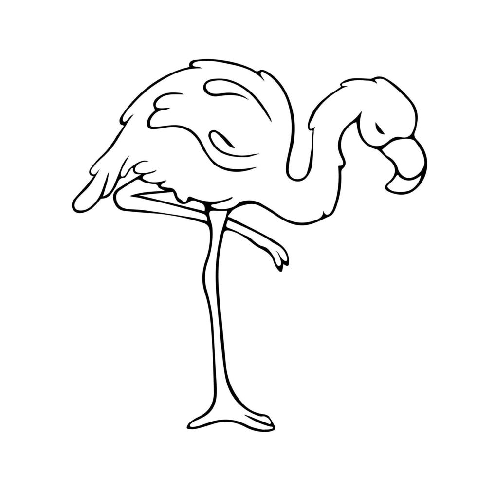 Flamingos. Doodle. Contour bird. Sleepy Flamingo vector