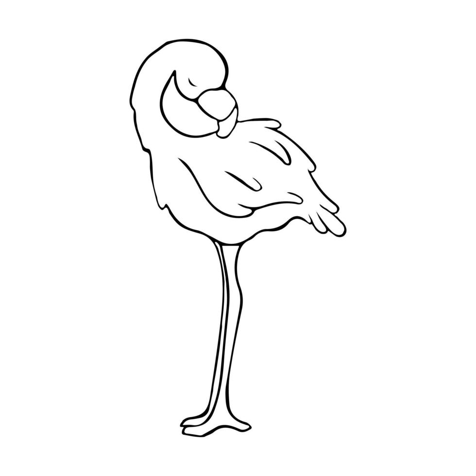 Flamingos. Doodle. Contour bird. Sleepy Flamingo. Stock illustration. Vector