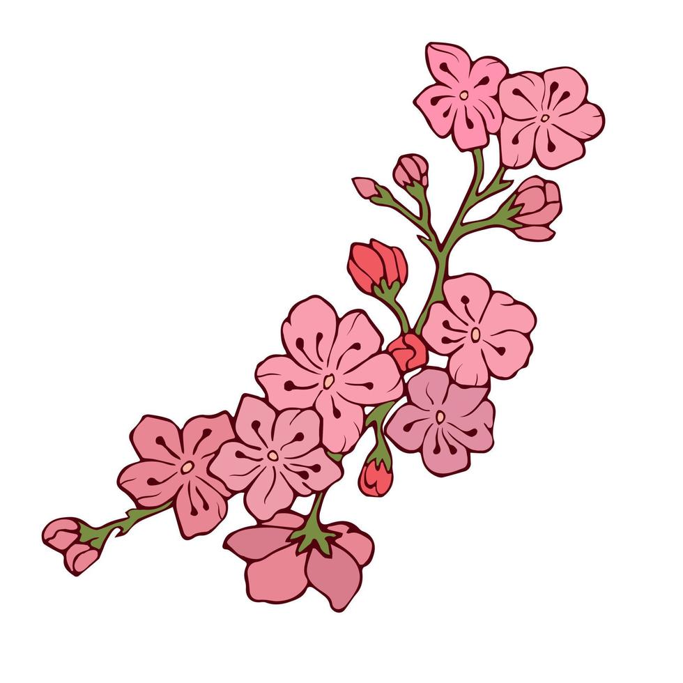 Cherry branch with flowers. Vector illustration. Contour image. Stock vector. Sakura. Pink flowers.