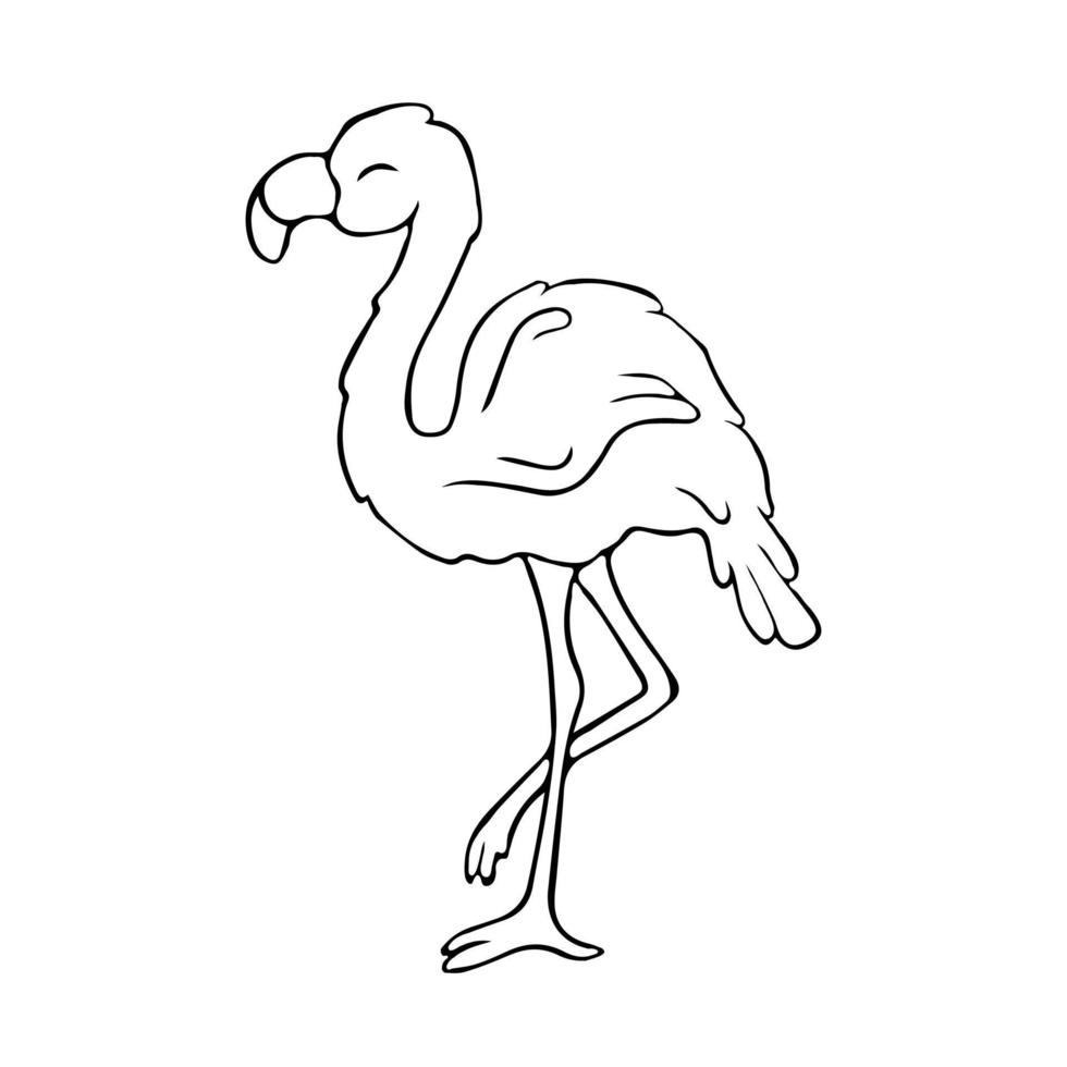 Flamingos. Doodle. Contour bird. Contour. vector