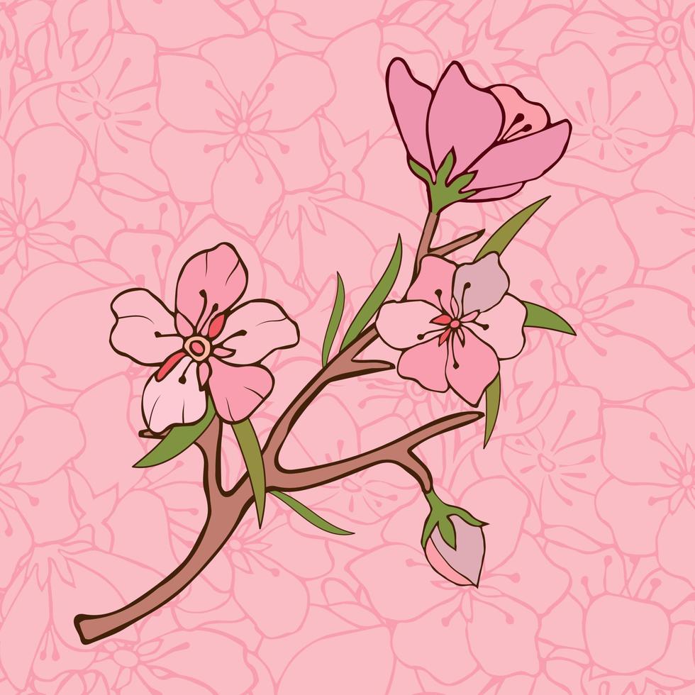 Postcard. Letter. Flowers. Cherry. Sakura. Vector illustration. Vector. Stock vector. The notebook cover. Branch with flowers.