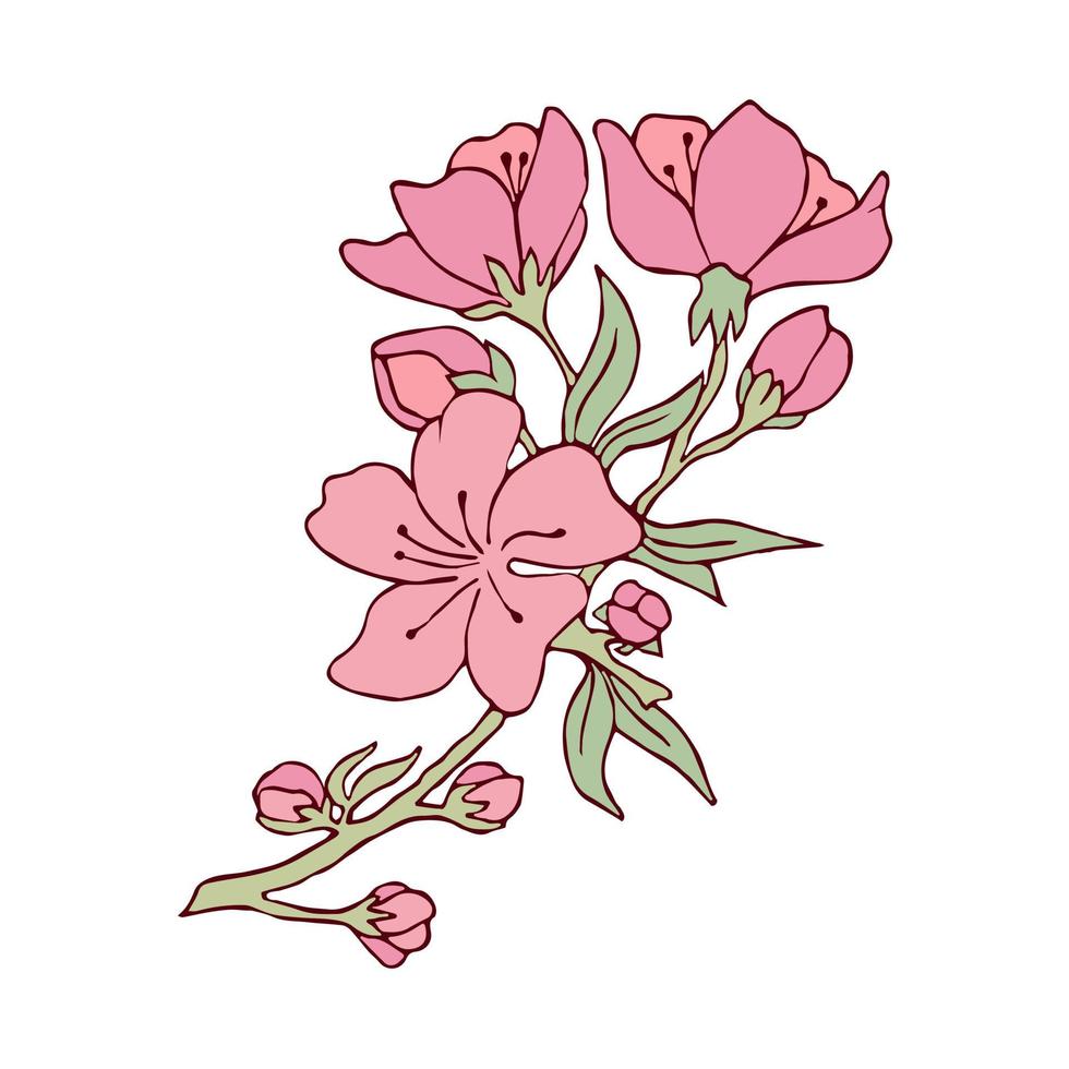 flores de cerezo en una rama. ilustración vectorial. imagen de contorno. vector stock. sakura. tarjeta postal. Flores rosadas. Fondo blanco.