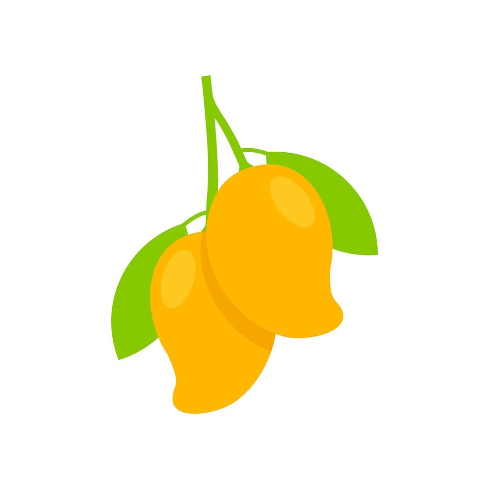 Two Ripe Mango vector illustration isolated on white background