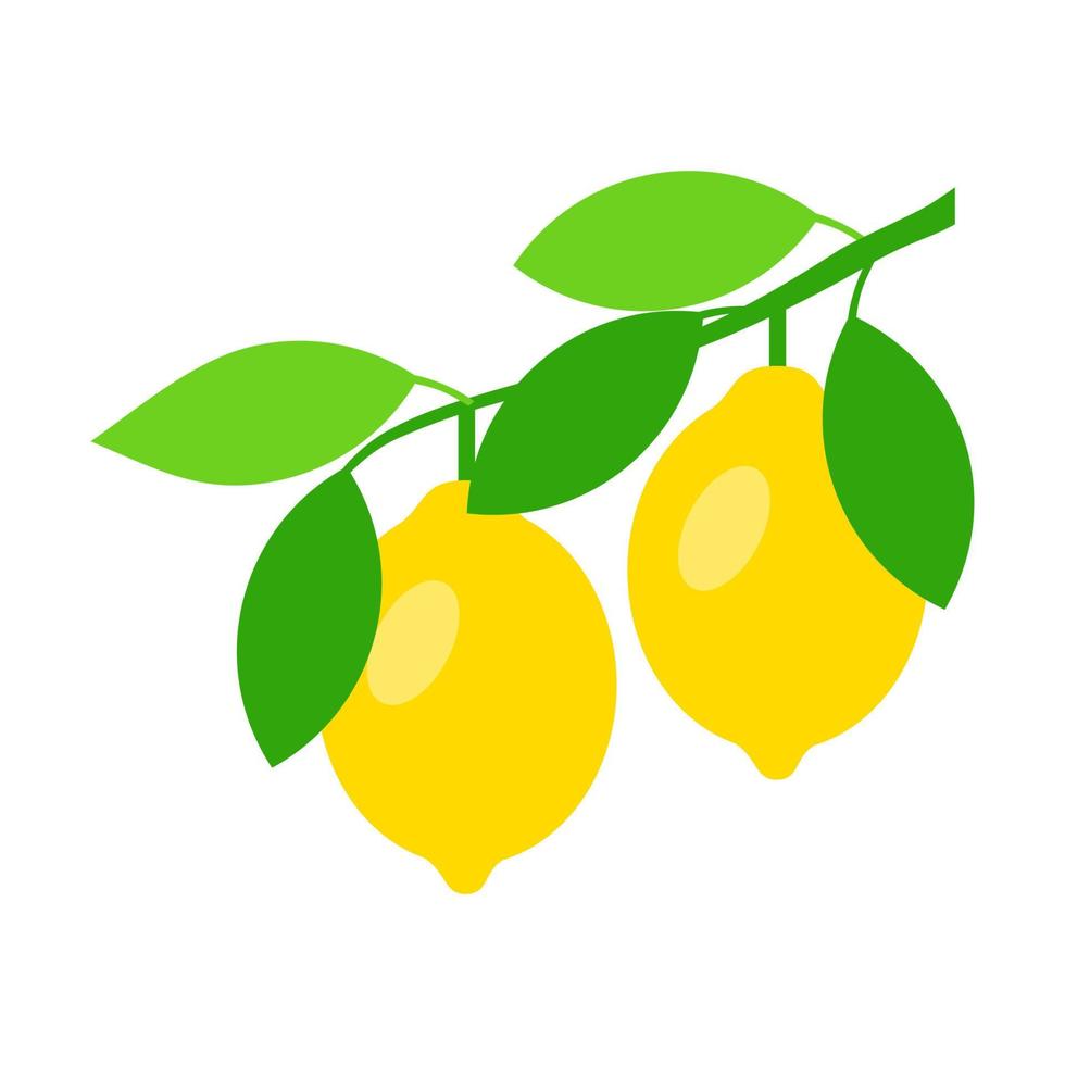 Ilustración de vector de manojo de árbol de limón aislado sobre fondo blanco