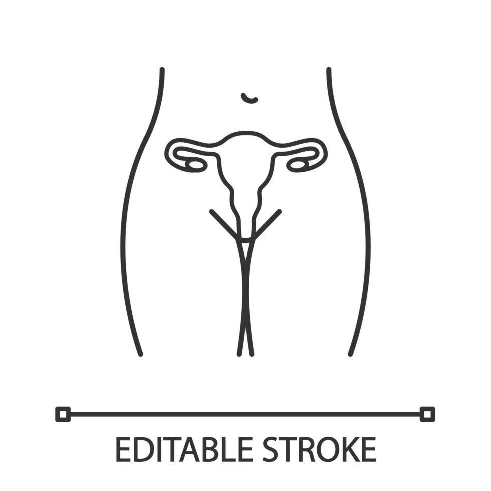 Female reproductive system linear icon. Thin line illustration. Uterus, fallopian tubes and vagina. Women's health. Thin line illustration. Gynecology. Vector isolated outline drawing. Editable stroke