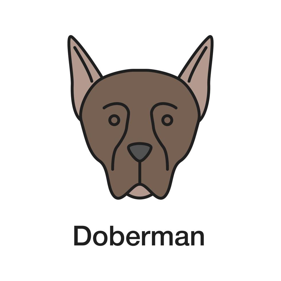 Doberman Pinscher color icon. Guardian dog breed. Isolated vector illustration