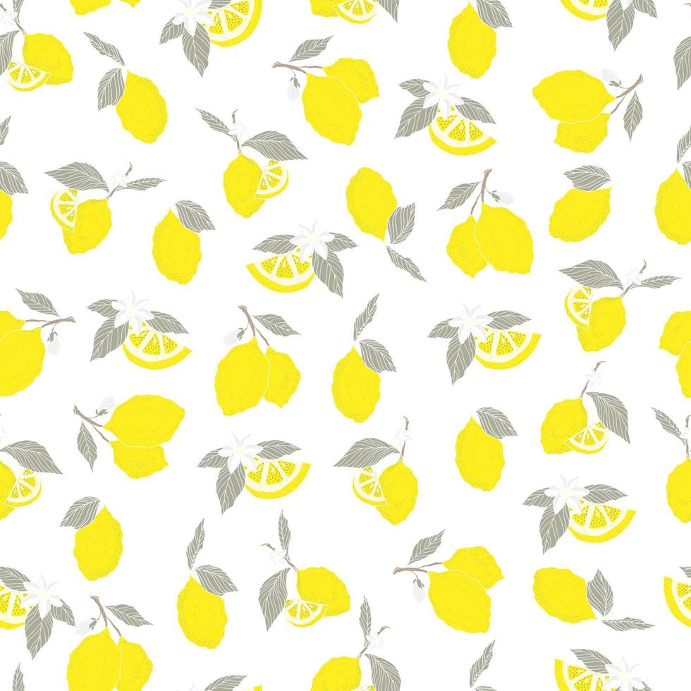 vector de patrones sin fisuras limones y limones en rodajas sobre un fondo rosa. patrón de limón de verano para fondo, tela, papel, textil, invitaciones, páginas web.