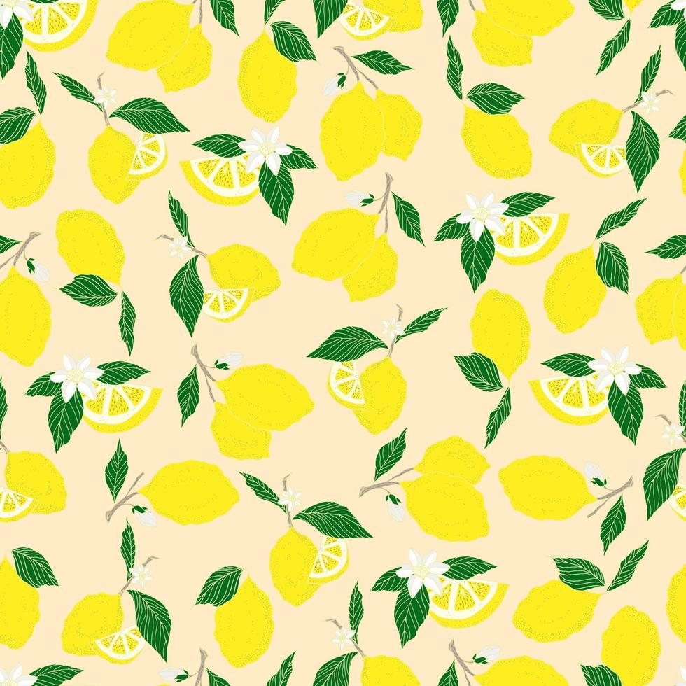 vector de patrones sin fisuras limones y limones en rodajas sobre un fondo rosa. patrón de limón de verano para fondo, tela, papel, textil, invitaciones, páginas web.