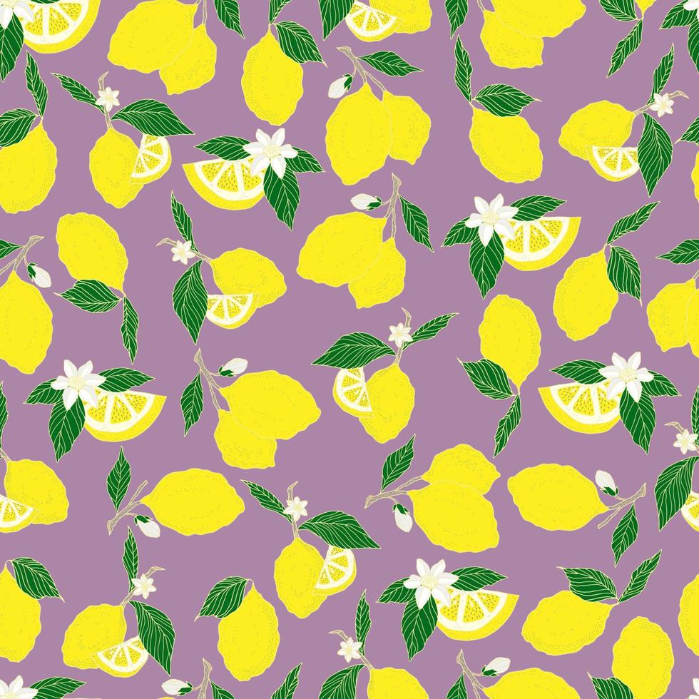 vector de patrones sin fisuras limones y limones en rodajas sobre un fondo rosa. patrón de limón de verano para fondo, tela, papel, textil, invitaciones, páginas web.