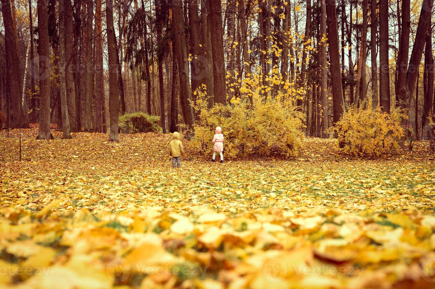 autumn fall people park forest photo