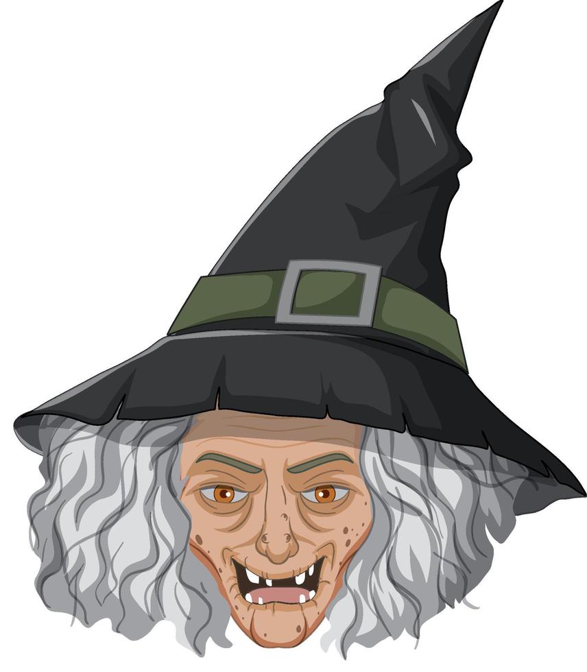 Wicked old witch face on white background vector