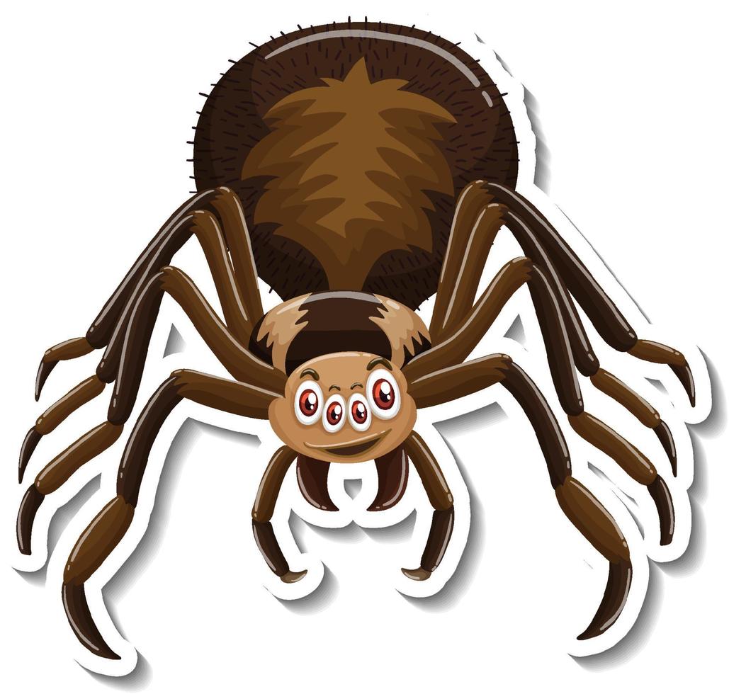 Wild spider cartoon sticker on white background vector