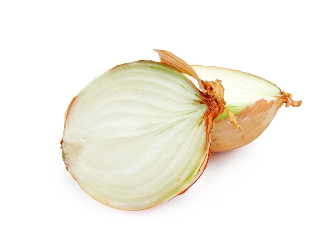 Onion on white photo