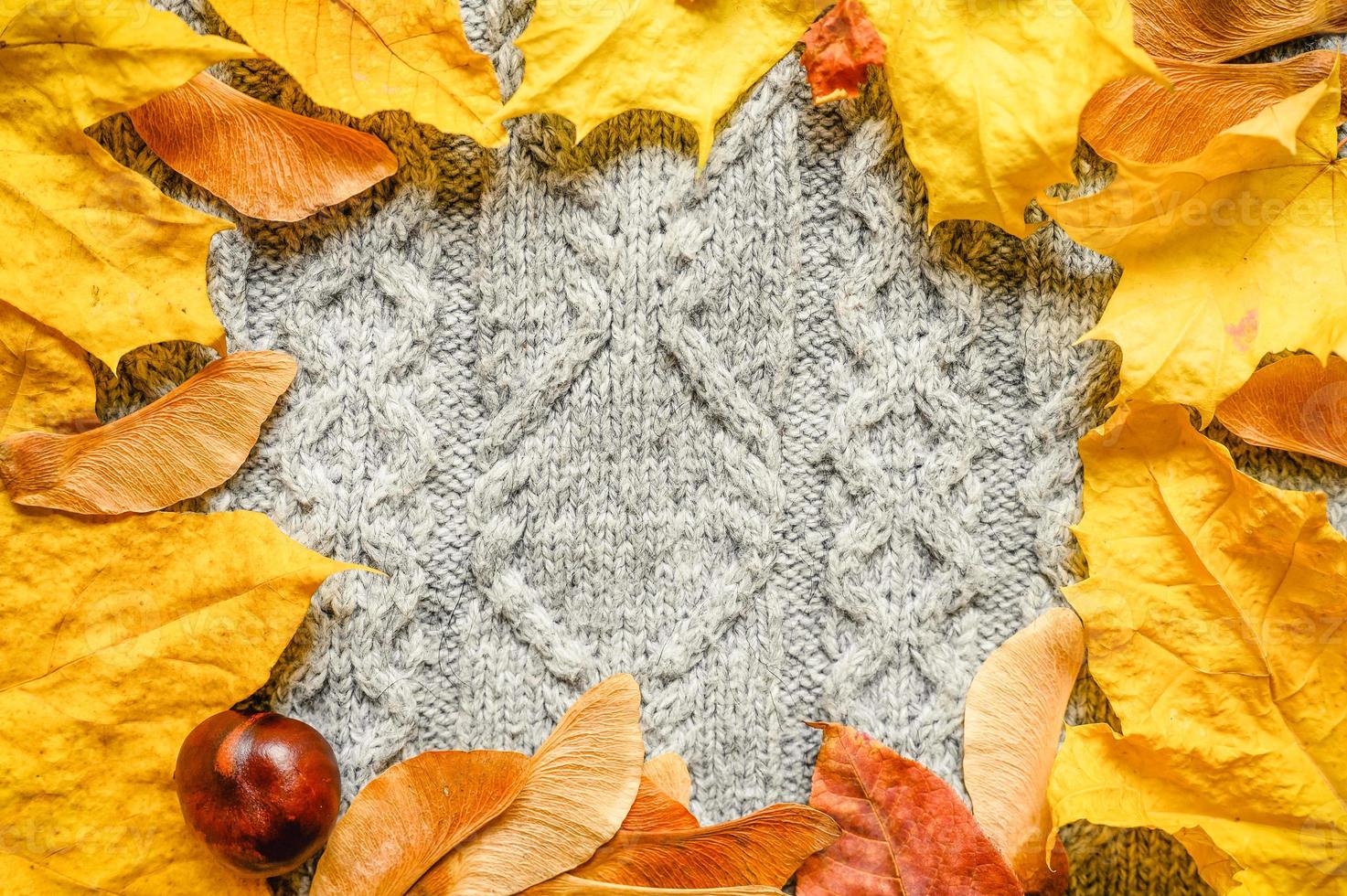 acogedor suéter de otoño otoño foto