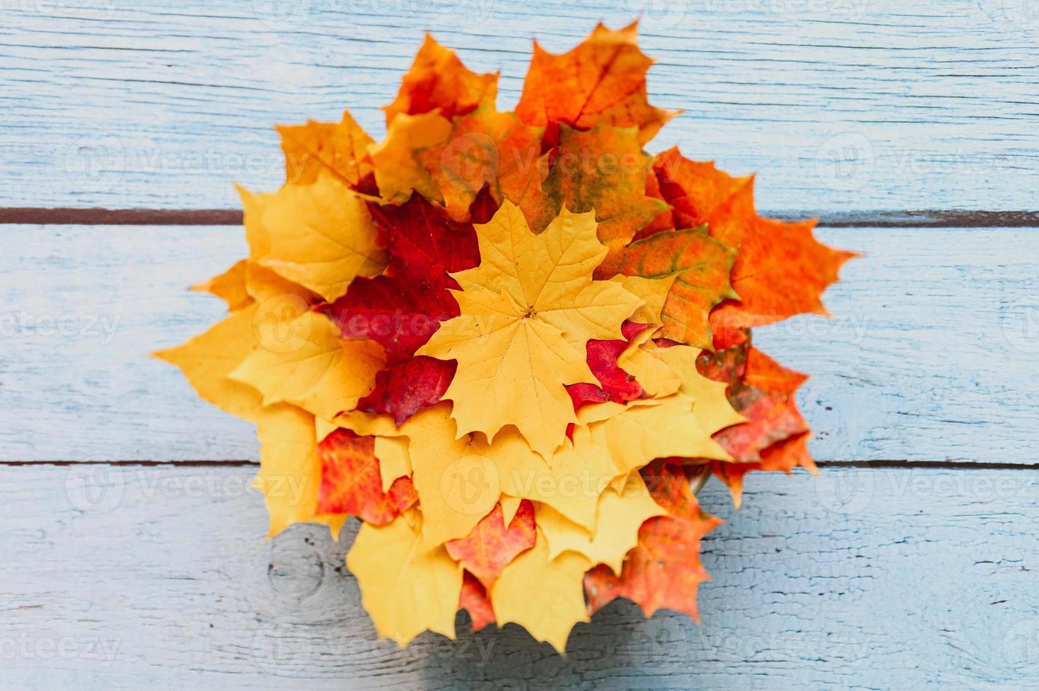 golden autumn fall leaves flat lay photo