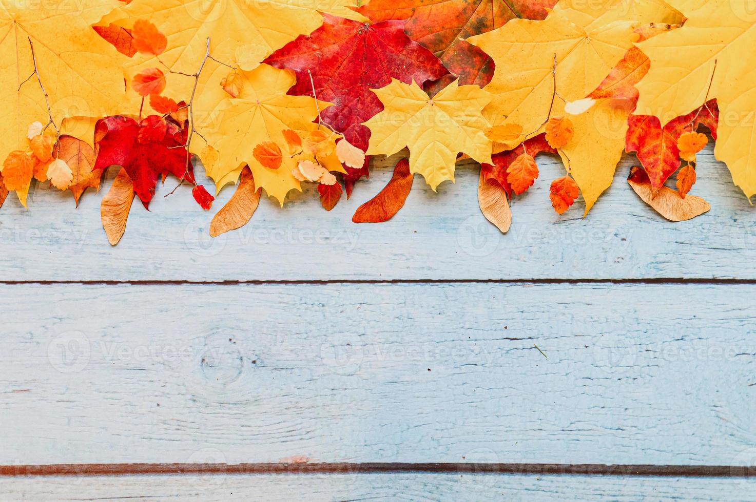 golden autumn fall leaves flat lay photo