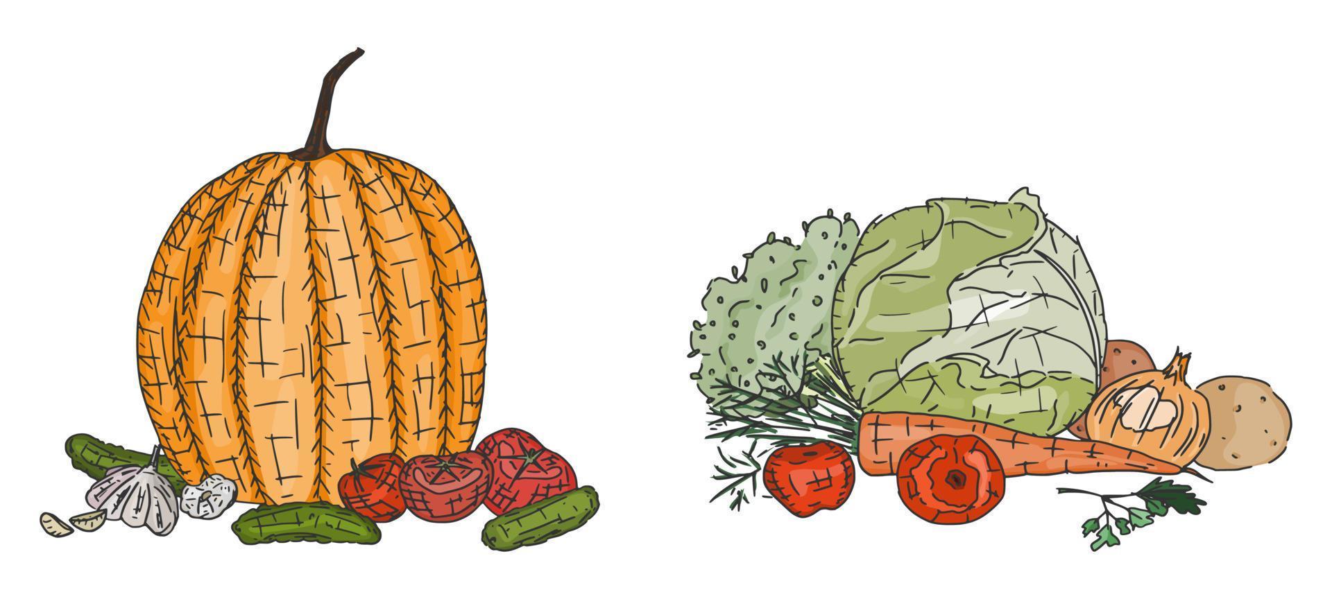 vegetables pumpkin carrots and onions with garlic vector