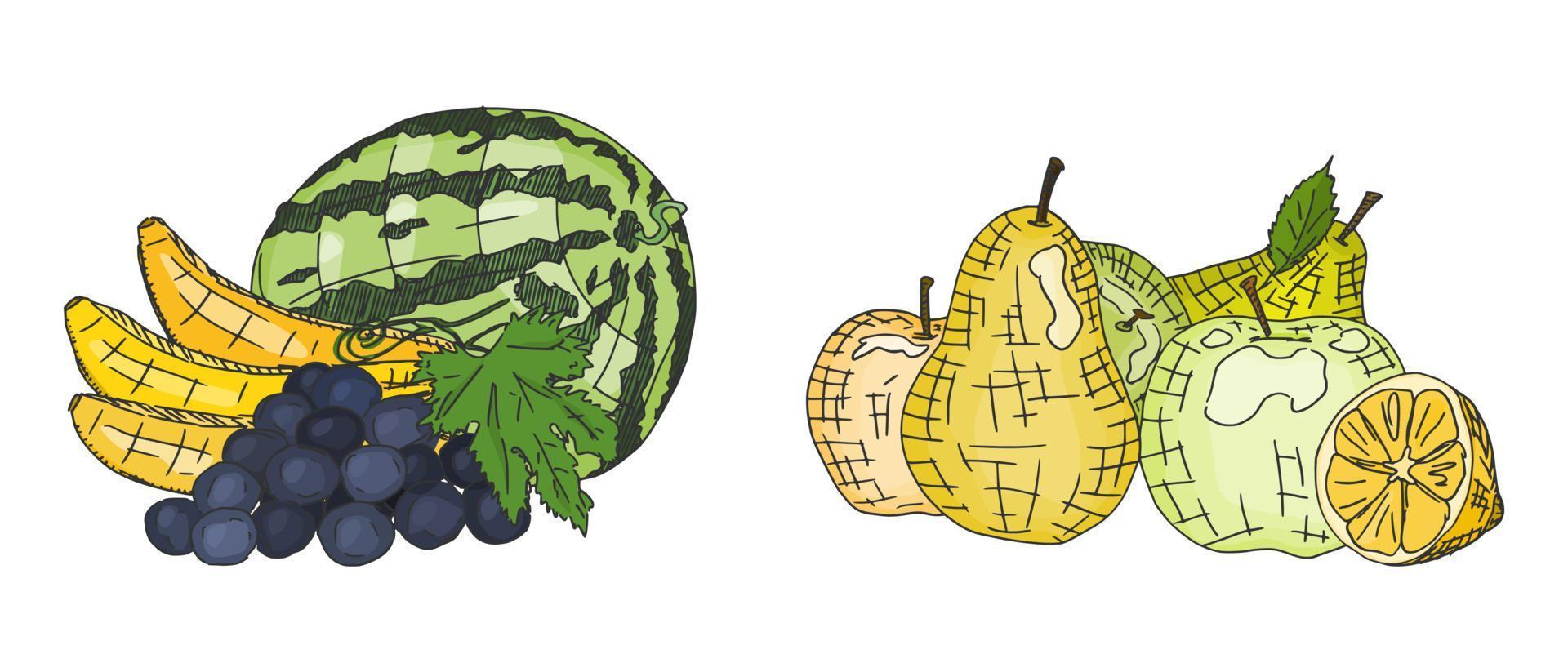 peras manzanas uvas y sandia dibujos sencillos vector