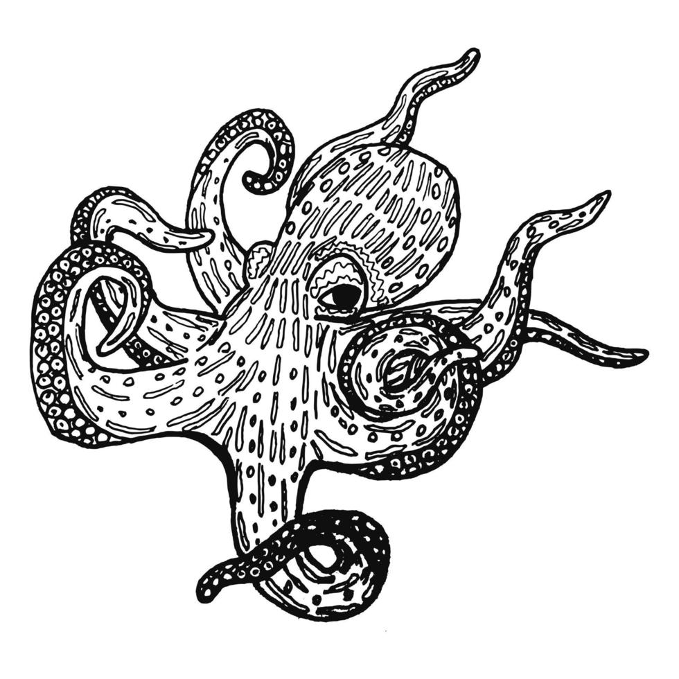 Mysterious octopus sketch vector illustration in black and white