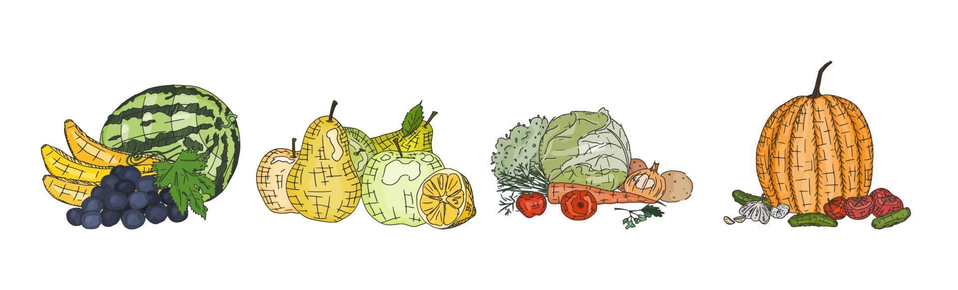 Verduras y frutas deliciosas vegetarianas naturales. vector