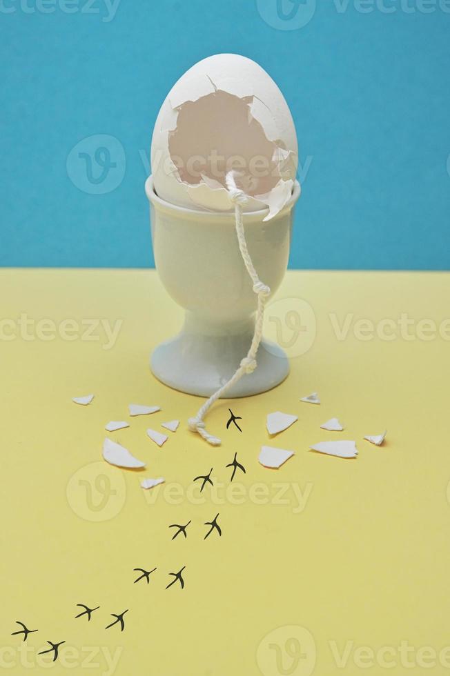 Escape Chopped Eggshell and Traces of chicken leading photo