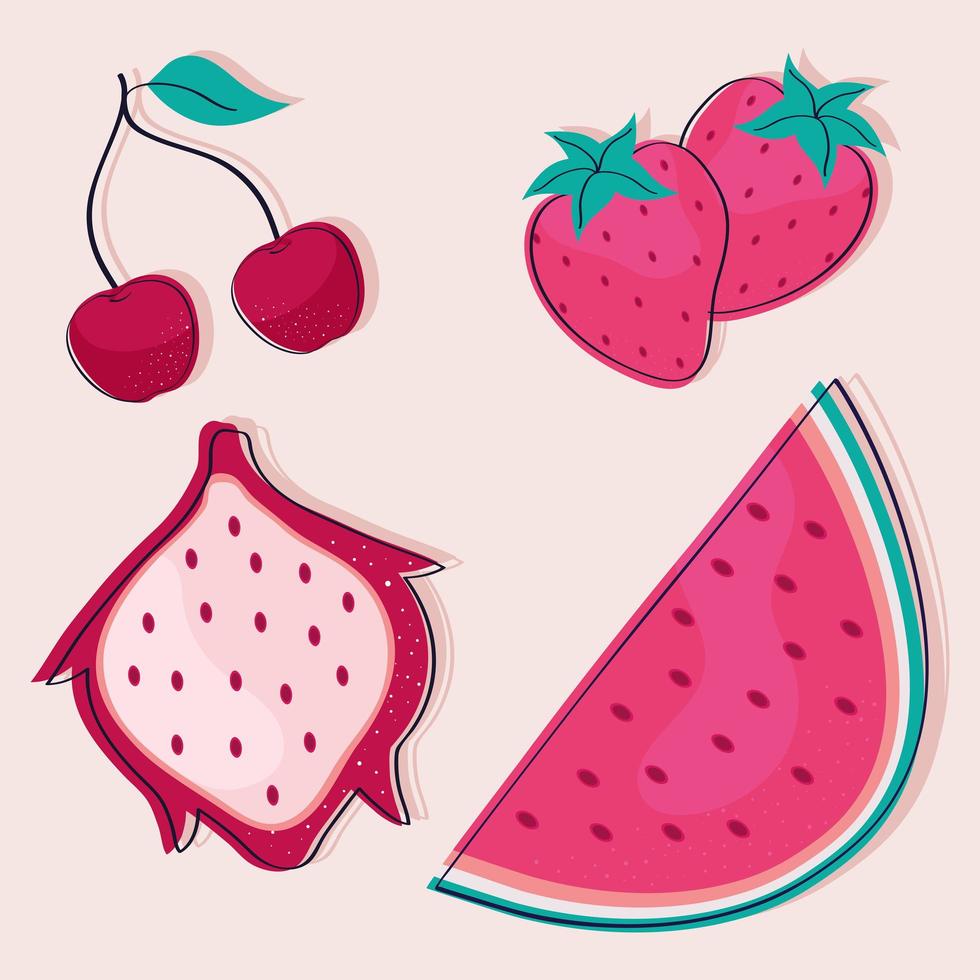 tropical fruits four vector