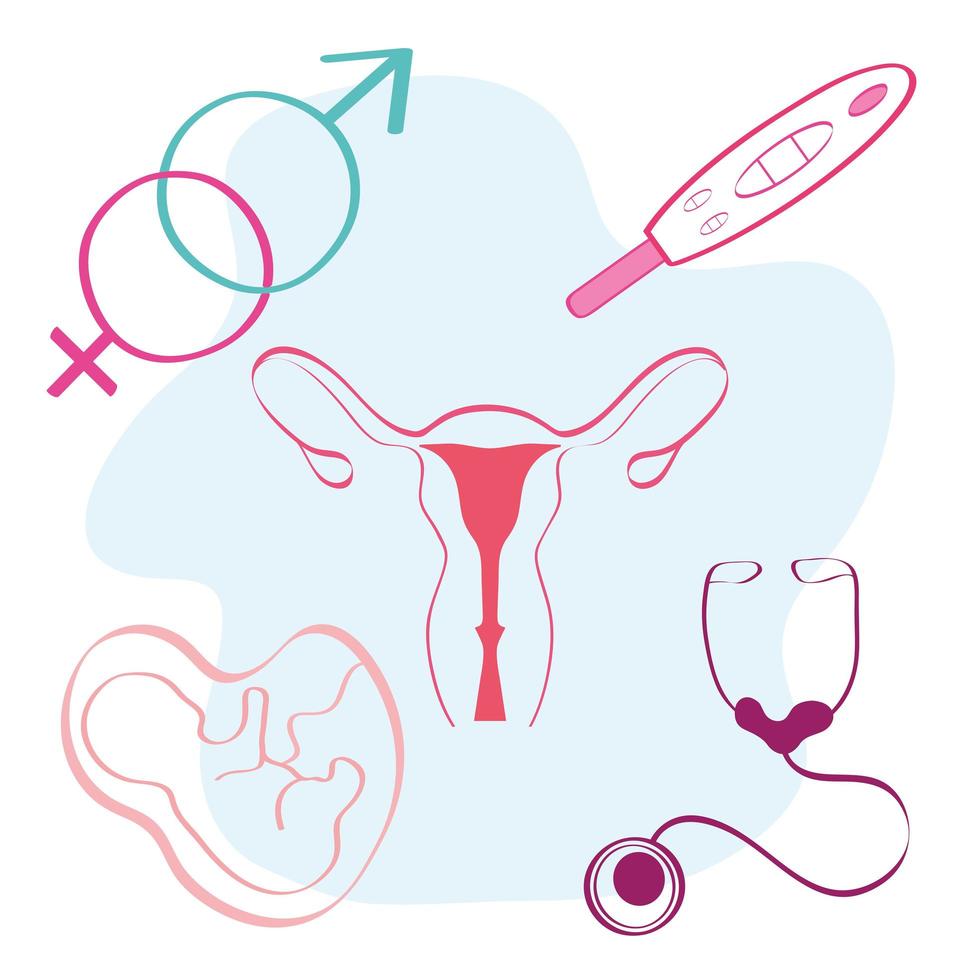 five pregnancy icons vector