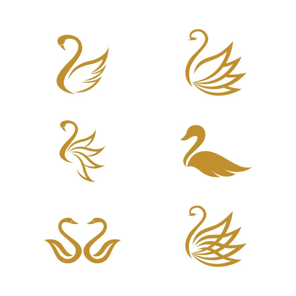 Swan icon Template vector illustration