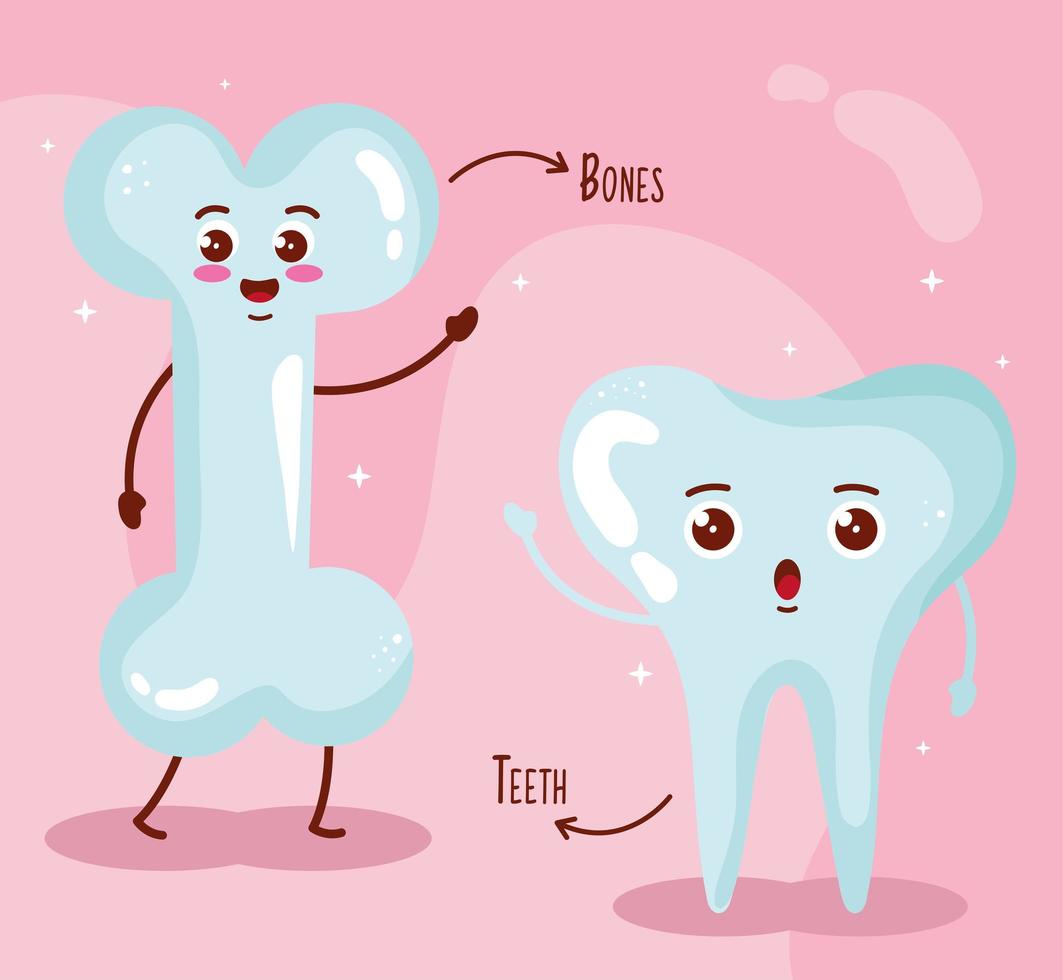 bones and tooth vector