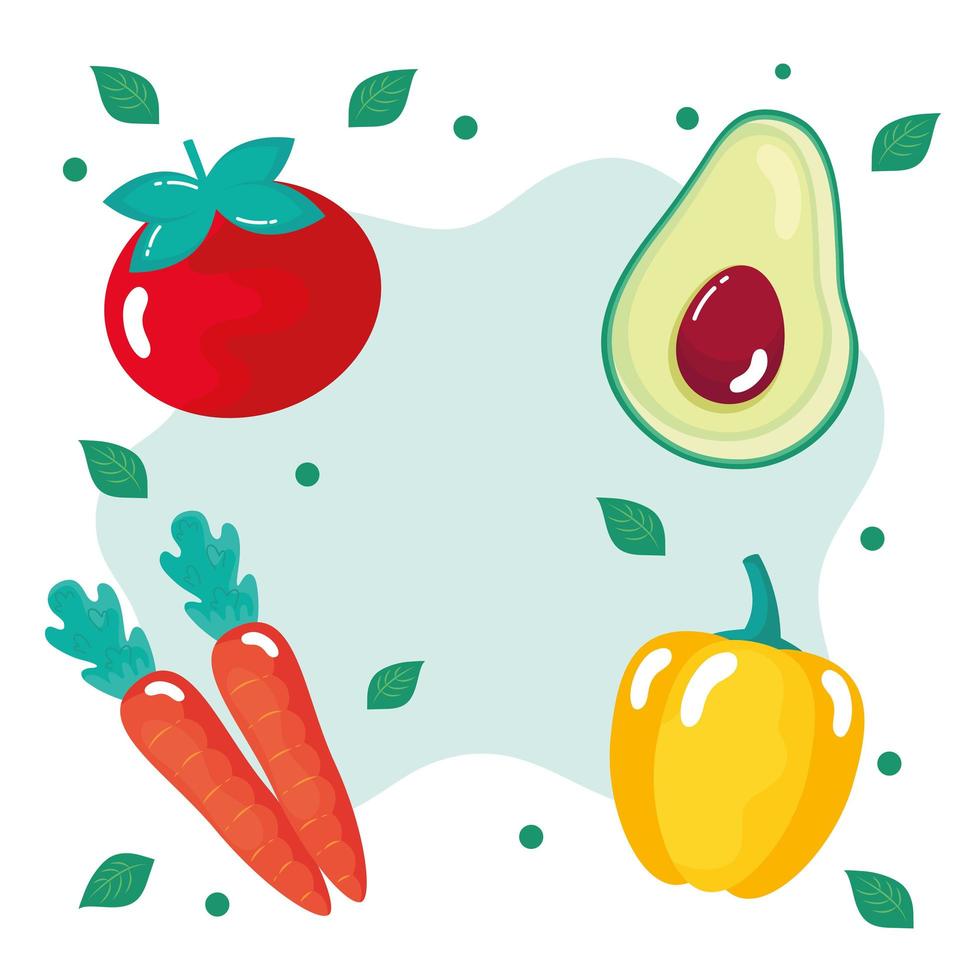 four fresh vegetables vector
