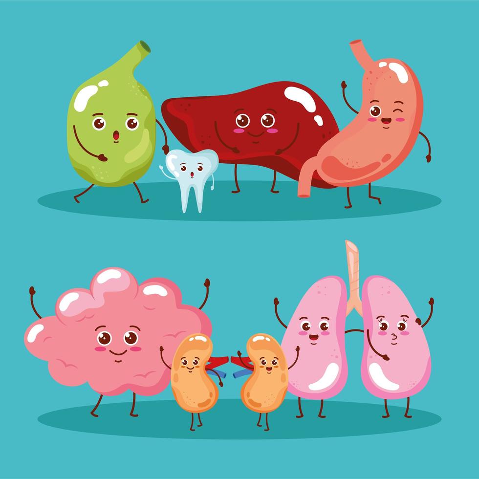 seven cute organs vector