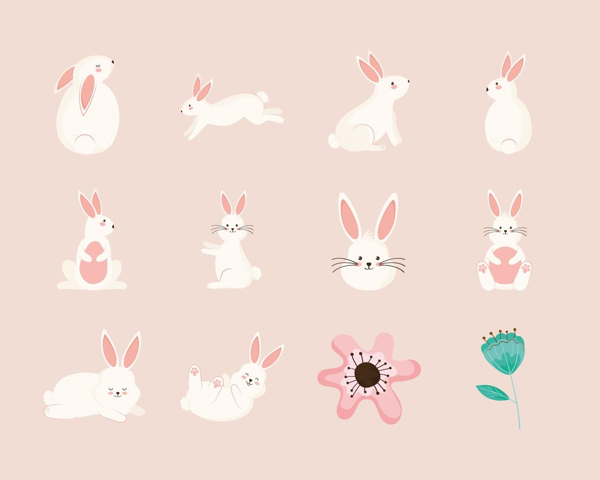 beauty ten rabbits vector