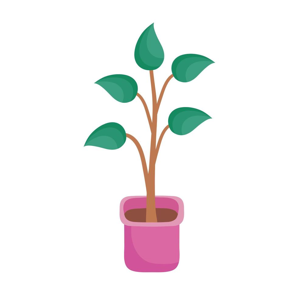 houseplant in ceramic pot icon vector