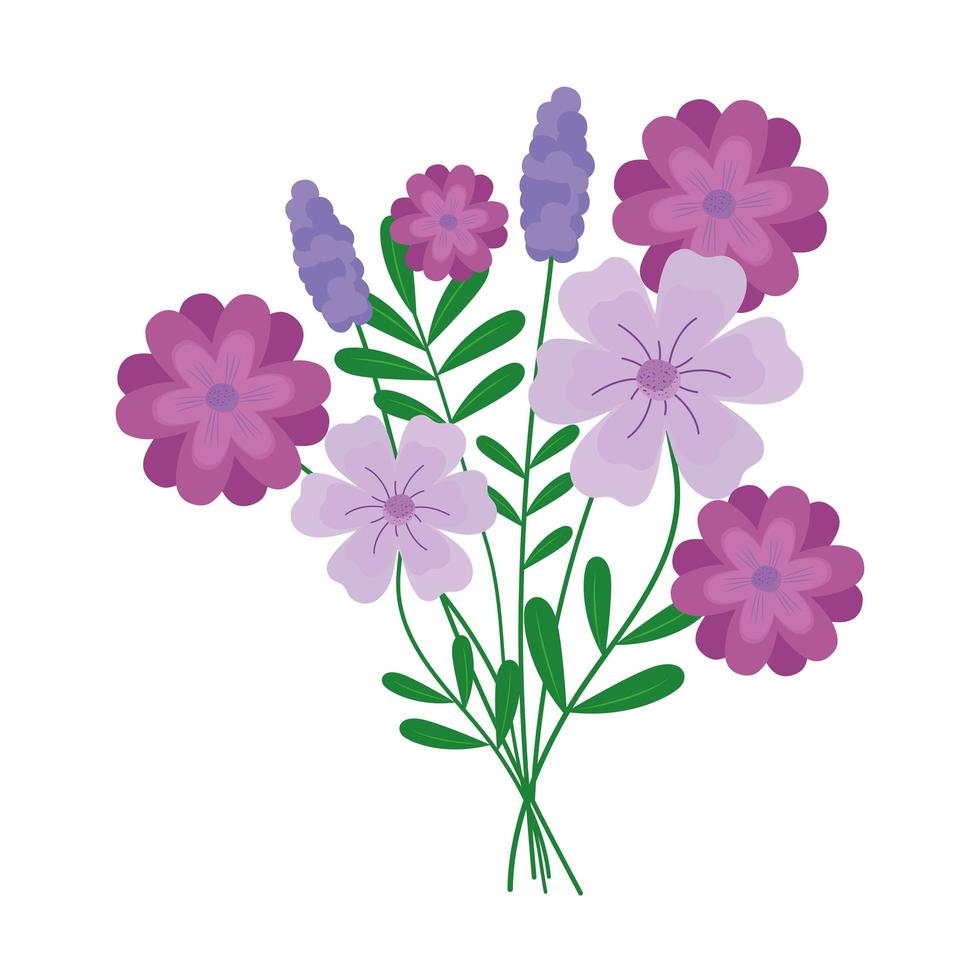 hermoso ramo floral con flores de color púrpura vector