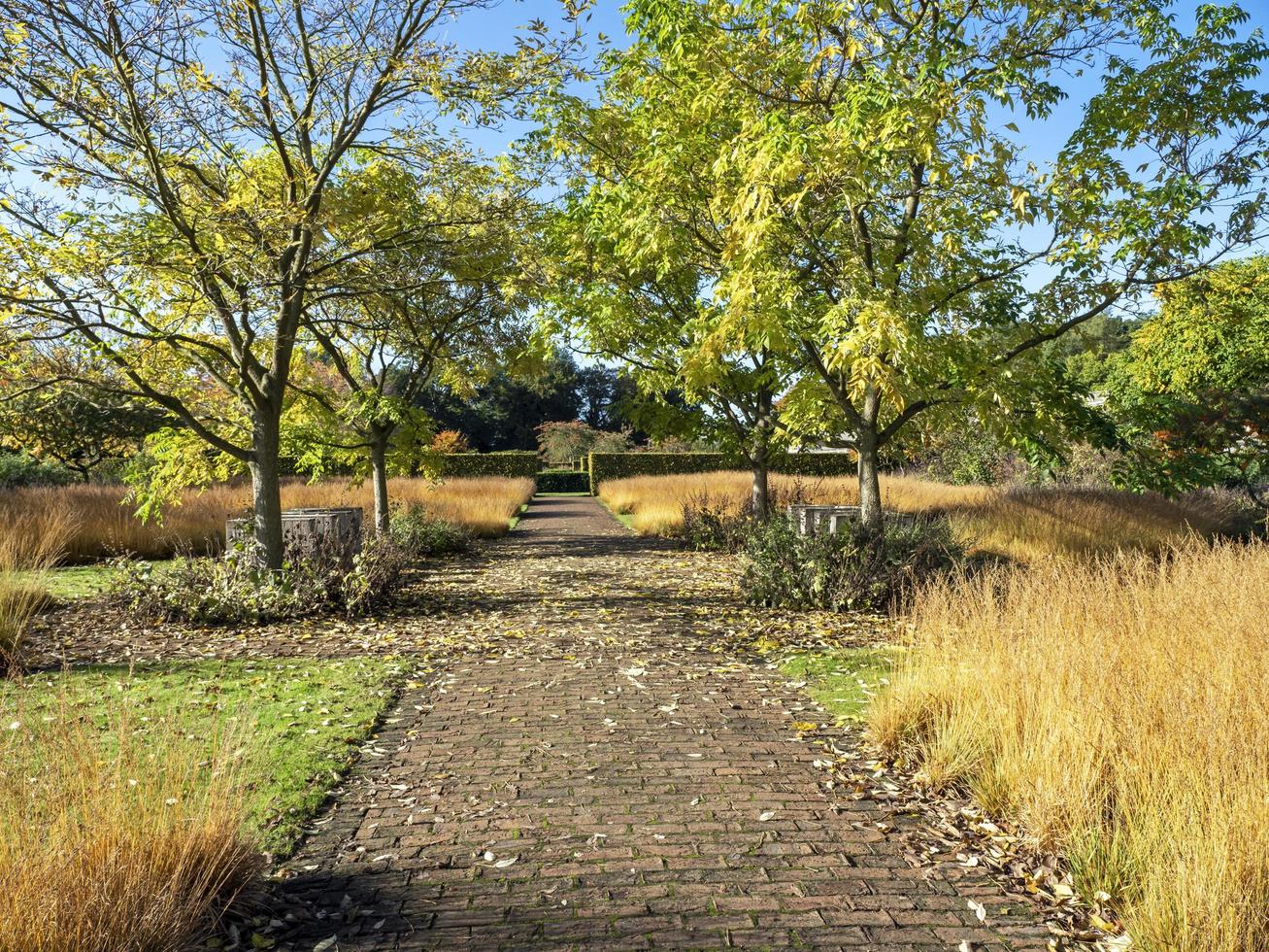 Path through a park on a sunny autumn day photo