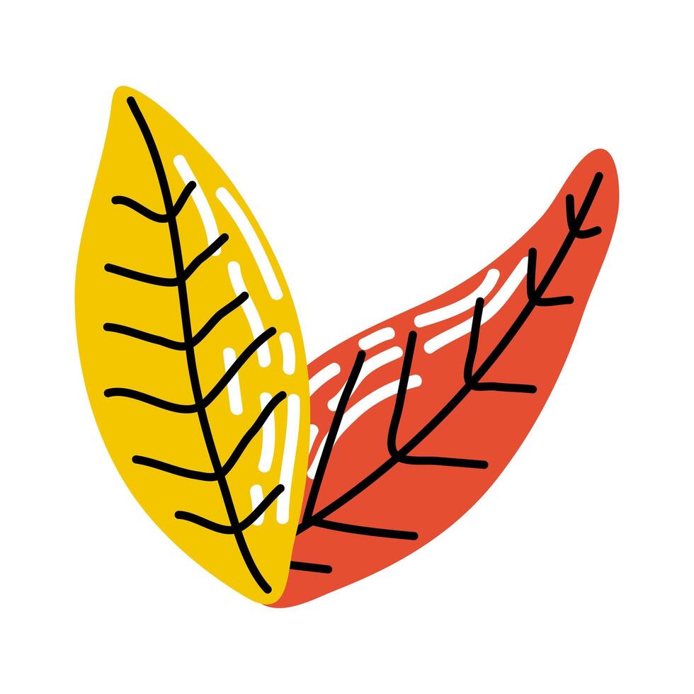 Plant leaves icon vector