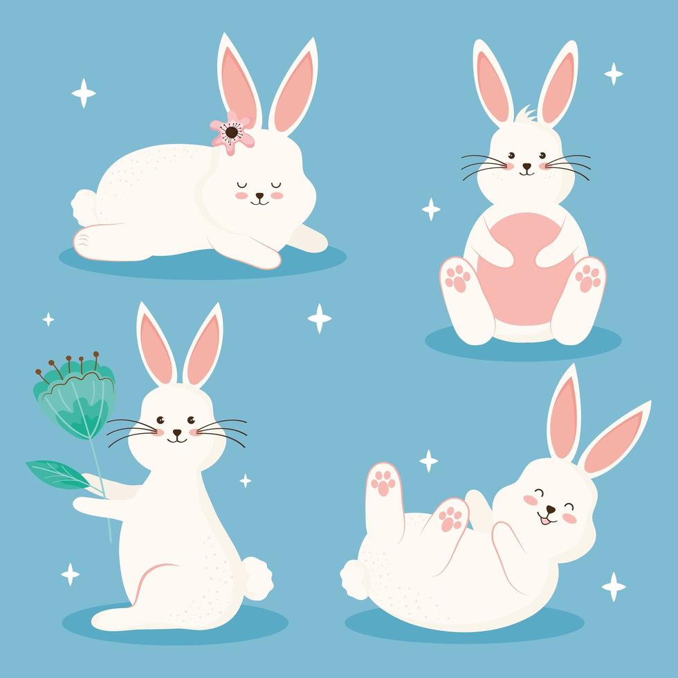 beauty four rabbits vector