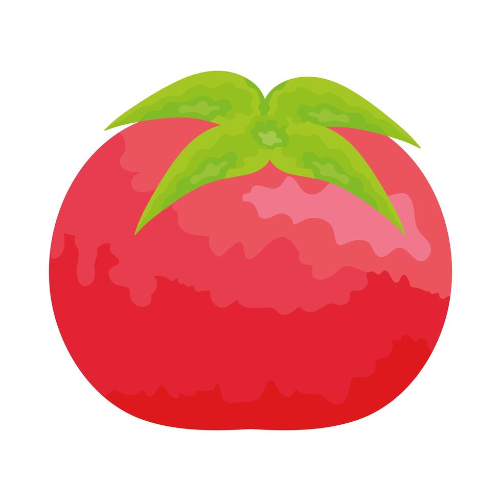 fresh tomato vegetable vector